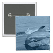 Diving Dolphin Pinback Button