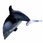 Diving Dolphin Sculpted Marine Wildlife Art Magnet Cut Out