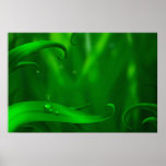 Diving posters