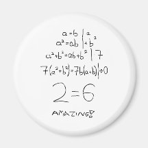 Division by zero fridge magnet