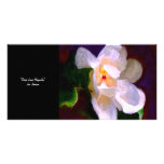 Dixie Lane Magnolia Collectible Art photo Card