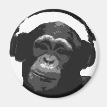 DJ MONKEY MAGNETS