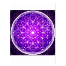 D'Light Full Mandala Post Card