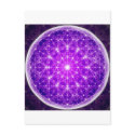 D'Light Full Mandala postcards