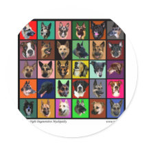 DM Rainbow Souls Round Sticker