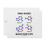 DNA Bases Basis For Life (Chemistry Molecules) Personalized Invite