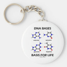 DNA Bases Basis For Life (Chemistry Molecules) Key Chains