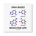 DNA Bases Basis For Life (Chemistry Molecules) Refrigerator Magnets