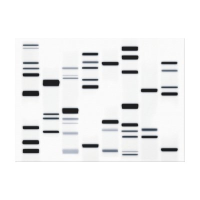 Dna Canvas