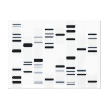 DNA Code Art Black on White Canvas Print