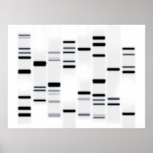 DNA Code Art Black on White Posters