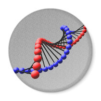 DNA - Double Helix Magnet