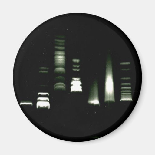 DNA Gel Electrophoresis Magnet