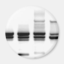 DNA Gel Fridge Magnet