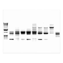 DNA Gel Postcard