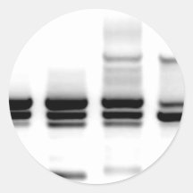 DNA Gel Round Sticker