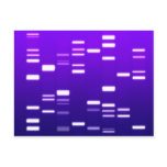 DNA Genetic Code Purple Postcards