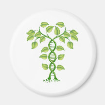 DNA plant concept Magnets