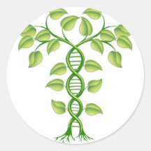 DNA plant concept Stickers