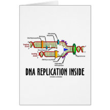 DNA Replication Inside (DNA Attitude) Card
