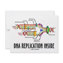 DNA Replication Inside (DNA Attitude)