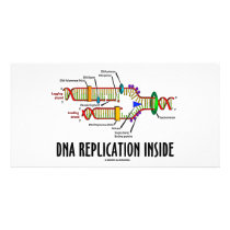 DNA Replication Inside (DNA Attitude)