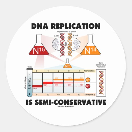 Dna replication to write a bumper sticker