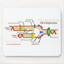 DNA Replication Mousepads