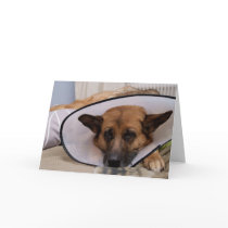 "Do I Have To Wear This?" Greeting Cards