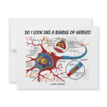 Do I Look Like A Bundle Of Nerves? Neuron Synapse
