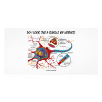 Do I Look Like A Bundle Of Nerves? Neuron Synapse