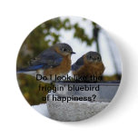 Do I look like the friggin' bluebird of happin... buttons