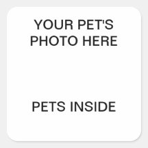 DO IT YOURSELF PET SAFETY STICKER