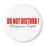 Do Not Disturb Honeymoon Couple Magnet