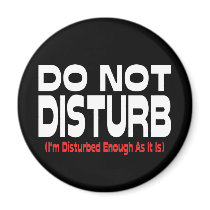 Do Not Disturb Refrigerator Magnet