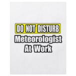 Do Not Disturb...Meteorologist At Work flyers