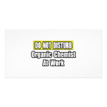 Do Not Disturb...Organic Chemist At Work photo cards