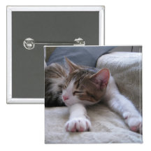 Do Not Disturb Pins