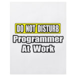 Do Not Disturb...Programmer At Work flyers