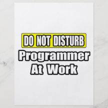 Do Not Disturb...Programmer At Work Flyer
