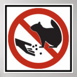 Do Not Feed the Squirrels Highway Sign posters