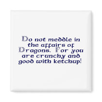 Do not meddle in the affairs of Dragons.