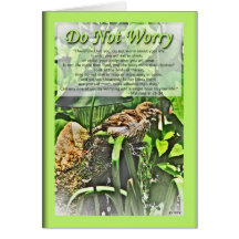 Do Not Worry with Sparrow Greeting Card