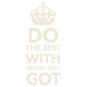 Do the Best With What You Got Shirt