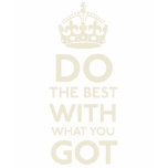 Do the Best With What You Got Shirt