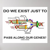 Do We Exist Just To Pass Along Our Genes? Print