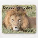 Do you feel lucky? Mouse?