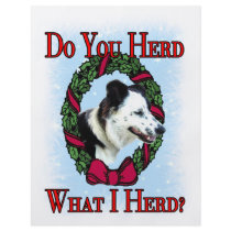 Do you herd flyer