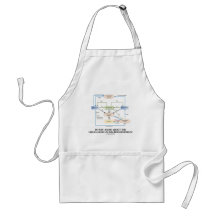 Do You Know About Circulation In Macroeconomics? Apron