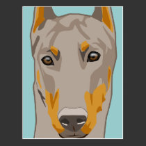 Dob erman Head, Fawn postcards